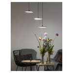 in-lite | DISC PENDANT | Hanglampen | 230V